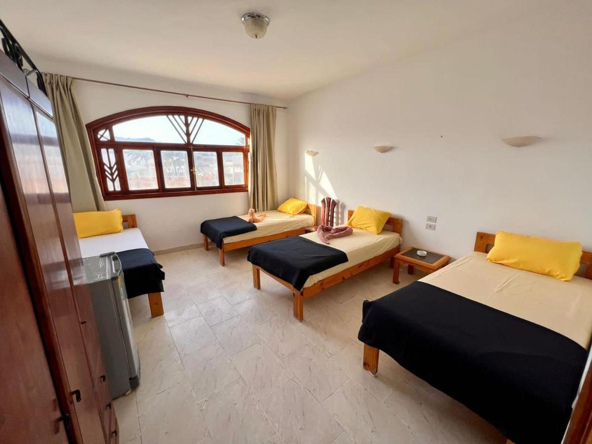 Mr Dahab Hotel المظهر الخارجي الصورة