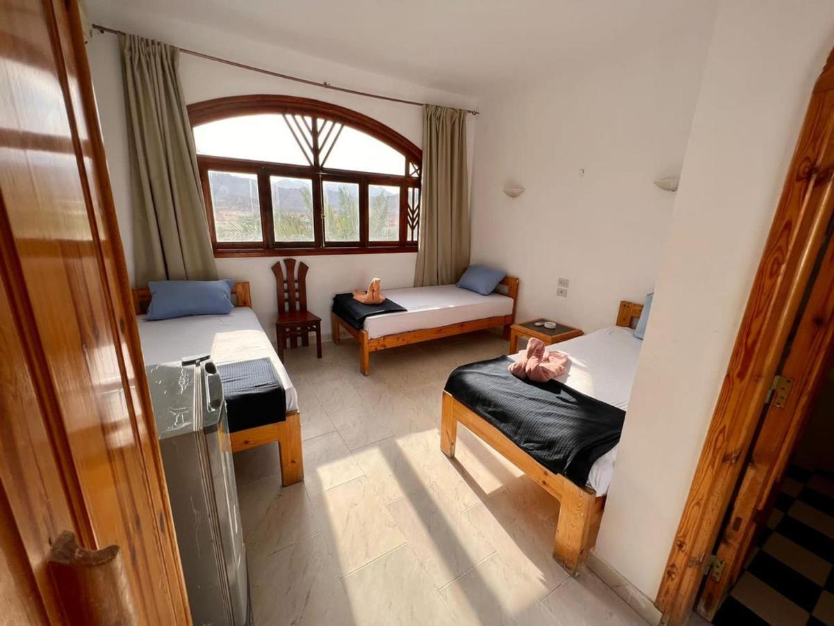 Mr Dahab Hotel المظهر الخارجي الصورة