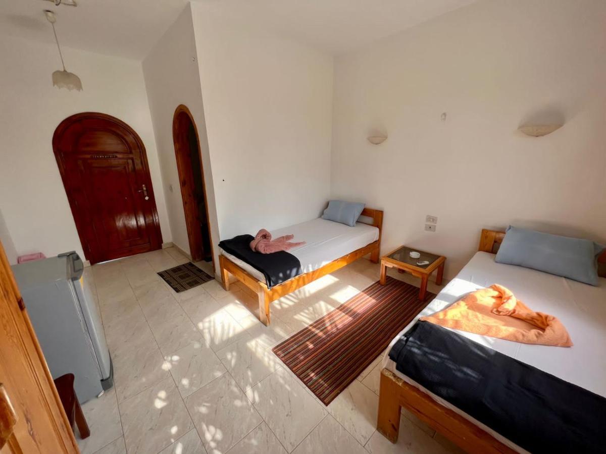 Mr Dahab Hotel المظهر الخارجي الصورة